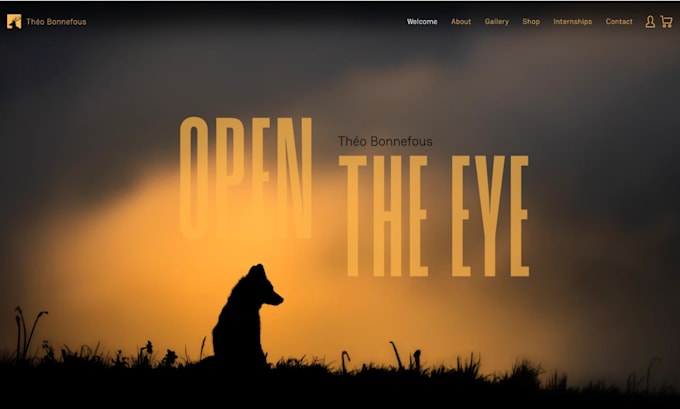 build 3d interactive website wix animations modern web design ui ux landing page