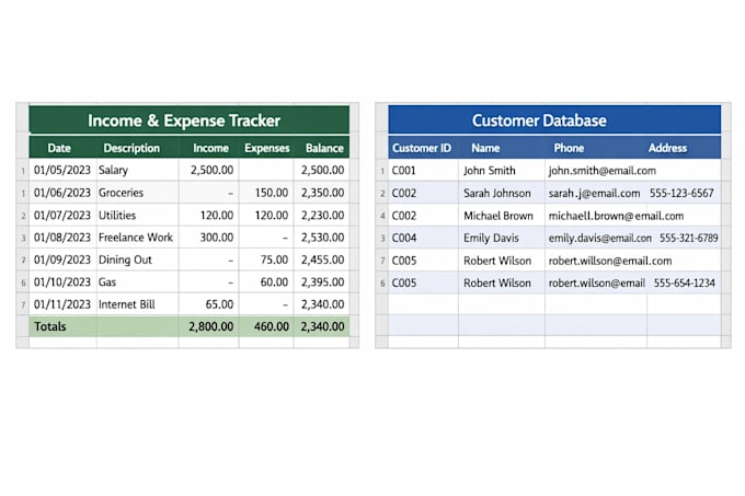 organize your data professionally