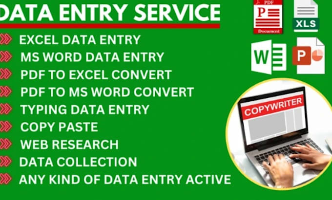 do accurate data entry word, excel typing, image to text