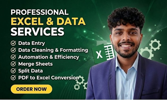 do excel data entry, cleaning, formatting, merging, splitting and PDF conversion