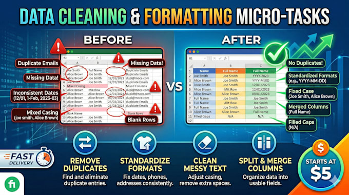 do data cleaning, formatting, and excel data entry