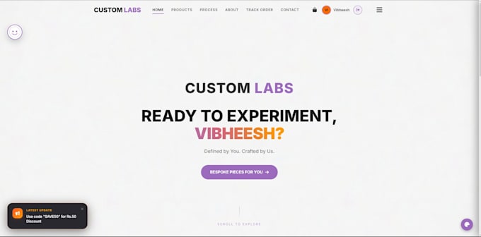 build custom interactive and functional websites