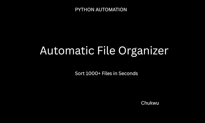 build a python script to automatically organize your files