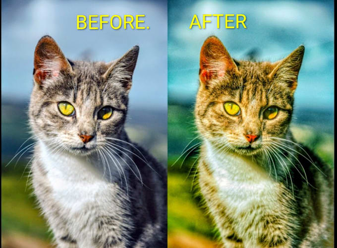 do professional video color grading and color correction for cinematic look