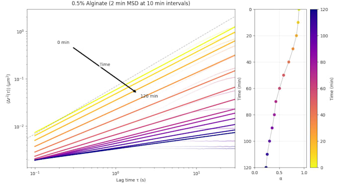 analyse particle tracking data and create viscoelastic plots