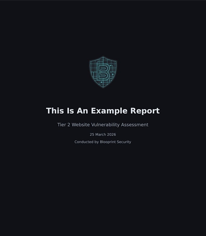 perform a professional website vulnerability assessment and security repo