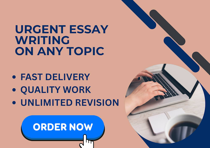 help with essay writing and assignment writing work