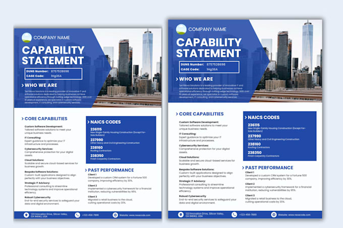 do government capability statement brochure, business capability statement flyer