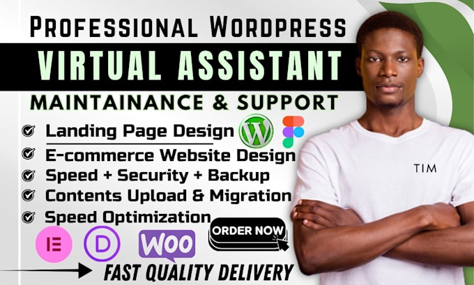 virtual assistant wordpress maintenance woocommerce assistant wordpress manager