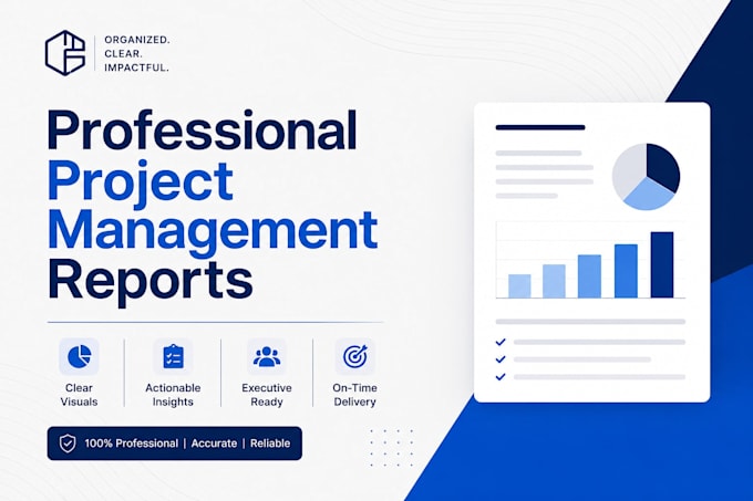 write professional project management and status reports