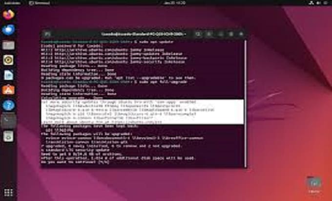 be your linux server system admin or administrator