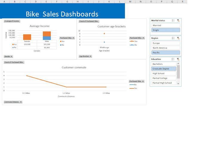 create professional excel dashboards with behavioral data insights