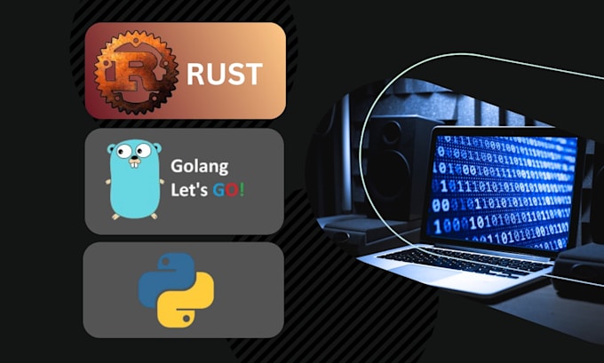 do rust, go and python programming projects and tasks for you