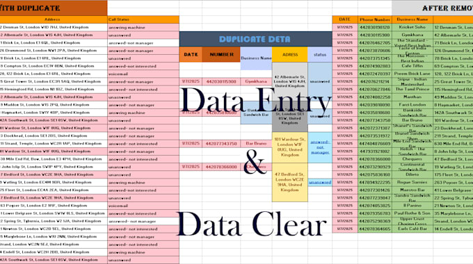 Data entry with conditional formatting and visual by Sefatsaad | Fiverr