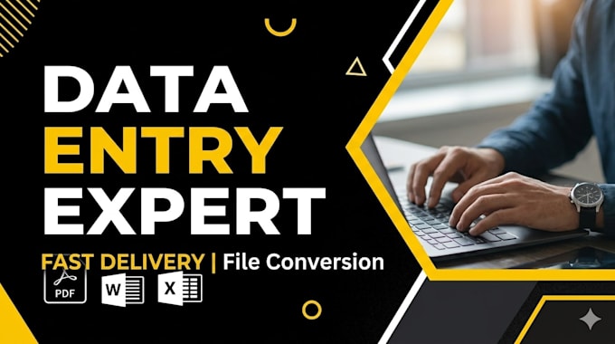 do professional data entry and file conversion