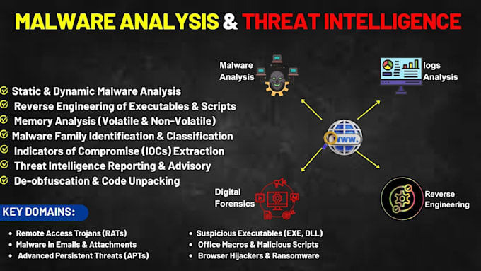 do reverse engineering, malware analysis, and log analysis