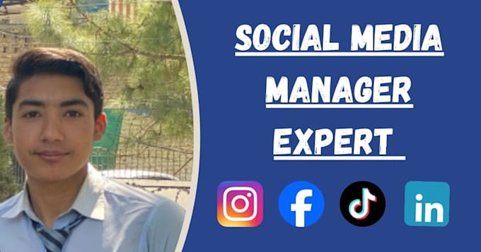 professional social media manager