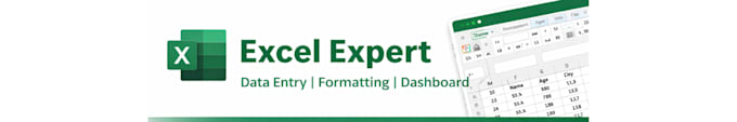 create professional excel spreadsheets, data entry