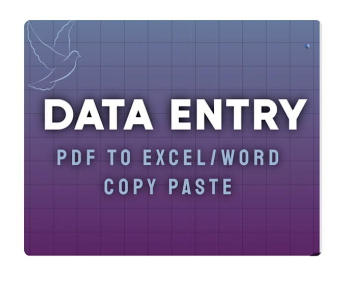 do professional data entry