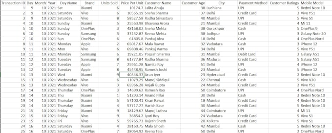 do excel data cleaning, formatting, and data preprocessing