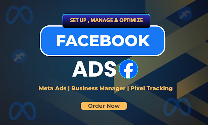 setup and manage professional meta ads campaign