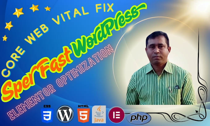 professionally optimize your wordpress website speed and fix core