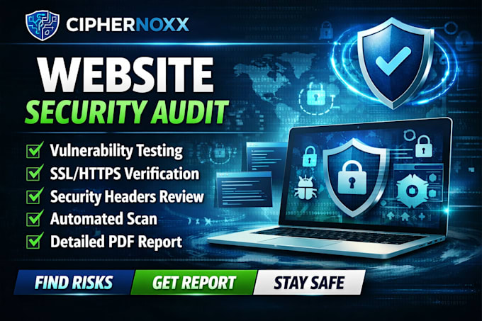 perform a professional website security audit with a detailed report