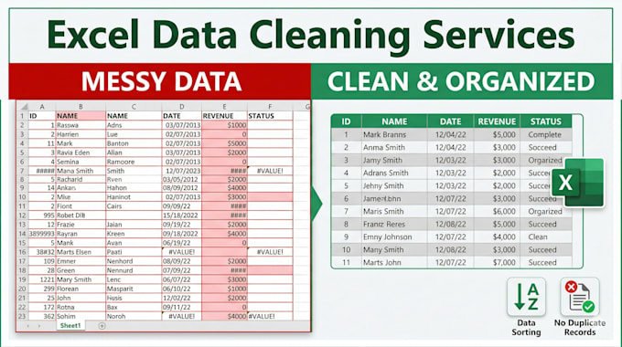 do professional data cleaning, data formatting, and remove duplicates in excel