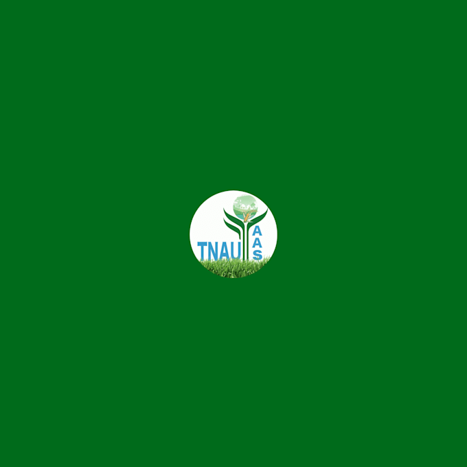 custom website and mobile app