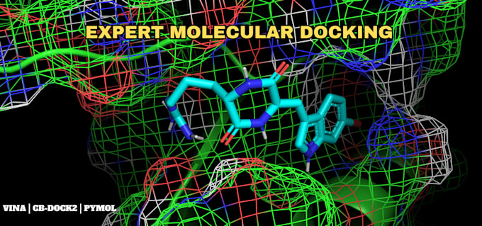 perform molecular docking and virtual screening
