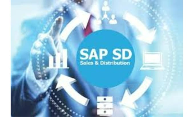 provide sap sd configurations, help in sap sd real time issues and training