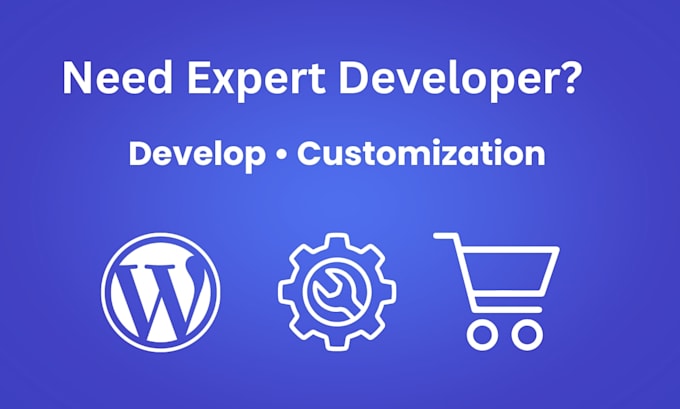 develop or customize wordpress plugins