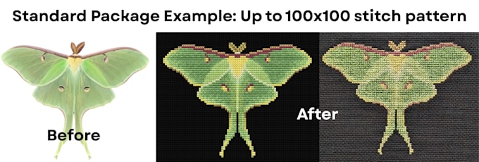 turn your idea or image into a simple cross stitch pattern