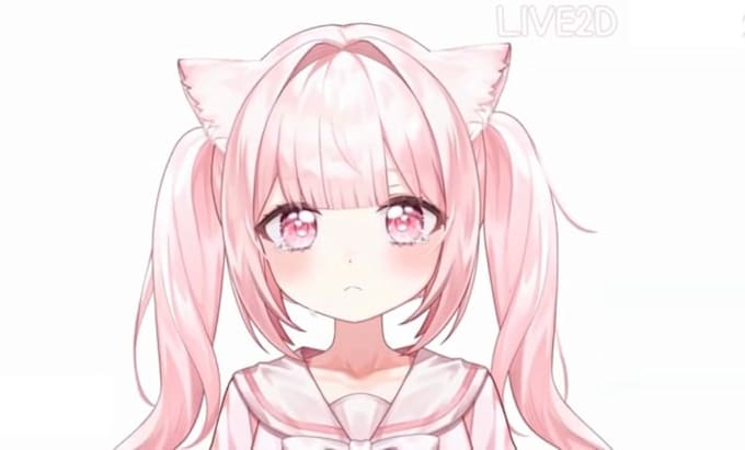design and rig live2d vtuber model, 2d vtuber model, vtuber rigging, anime model