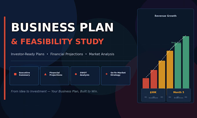 write a professional business plan and feasibility study