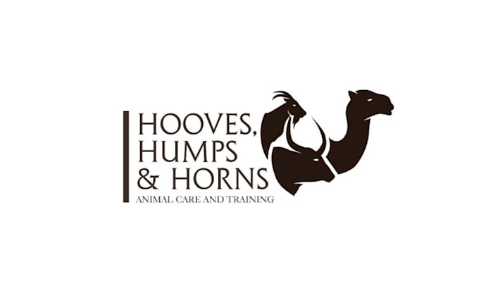 design animals amazing dog training logo