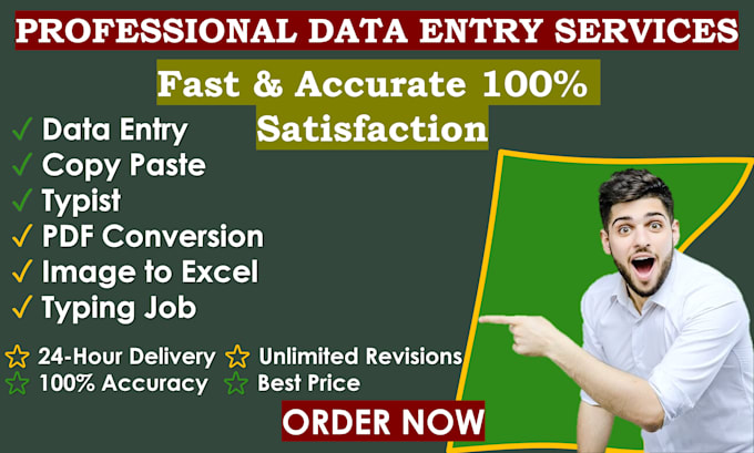 do fast and accurate data entry and typing excel work