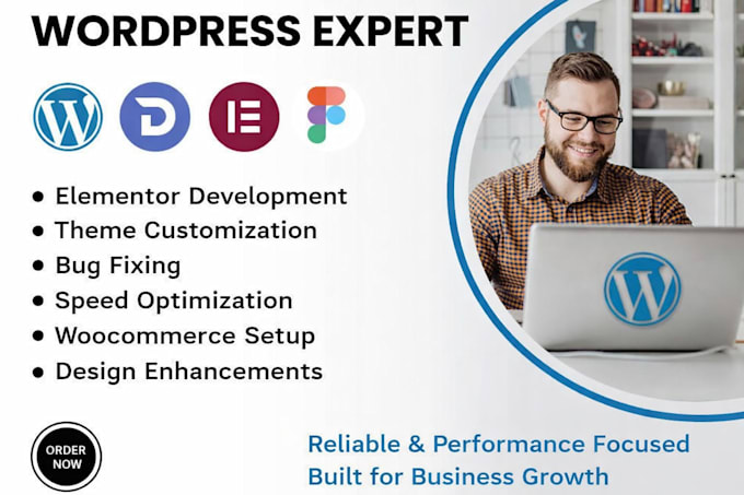 redesign and customize wordpress website using elementor professionally