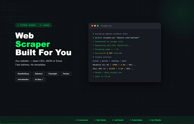 build a custom python web scraper or data extraction tool