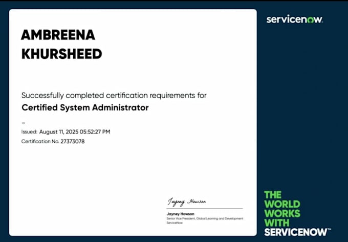 provide servicenow development and admin services