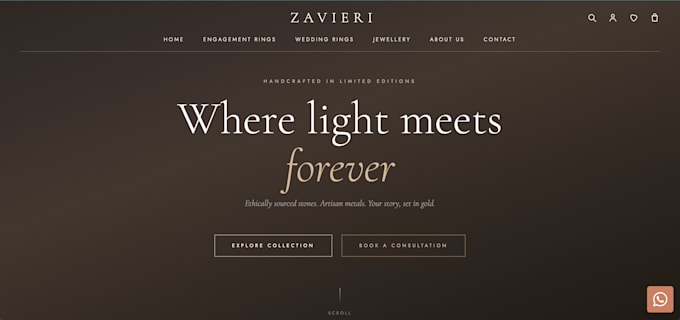 develop web frontend projects