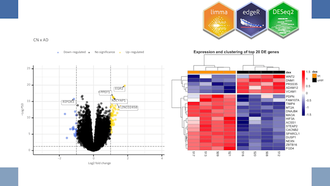 analyze and perform differential gene expression analysis