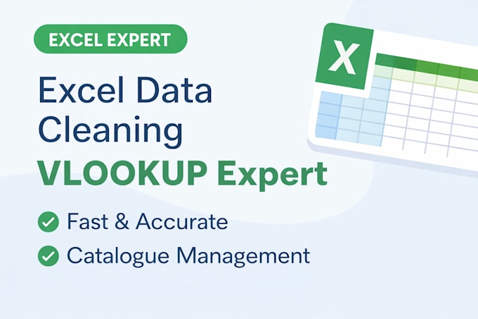 clean excel data, vlookup and catalogue