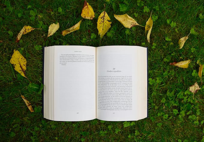 do book layout design and typesetting