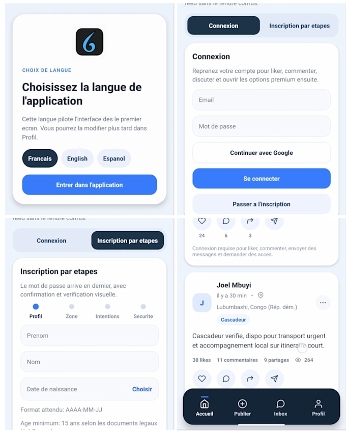 develop a professional web or mobile app using react and go