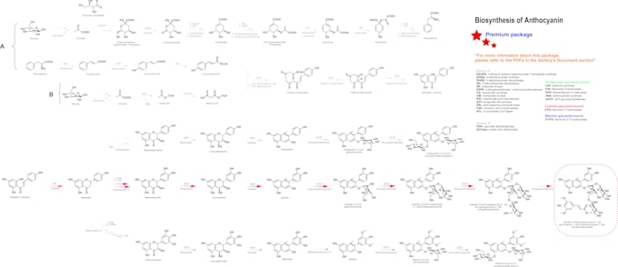 create professional and visually appealing biosynthesis pathway