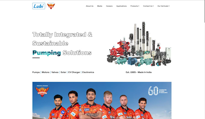 develop a custom website for your business needs