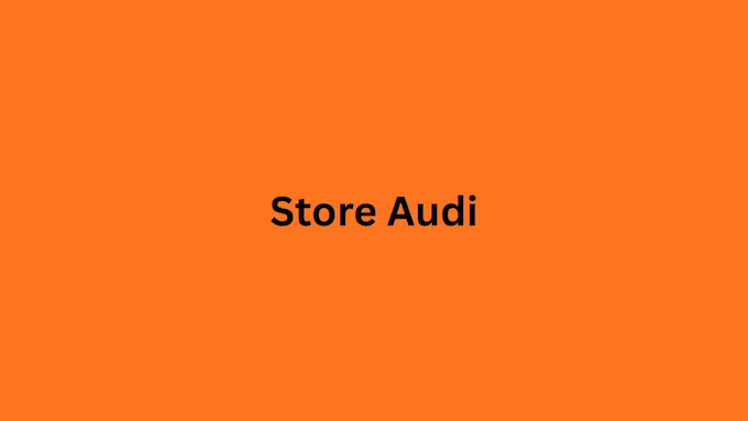 do shopify audit for your store