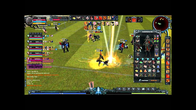 setup and develop a custom mmorpg private server with website