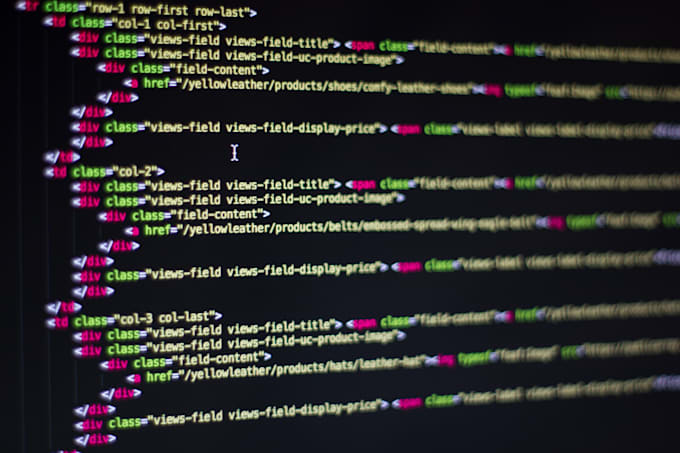 develop a website frontend or backend
